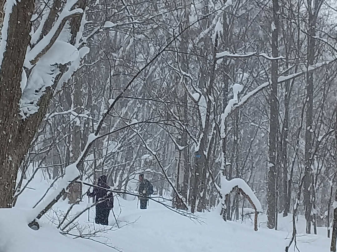 Niseko Snowshoe Tours-俱知安町必去景点