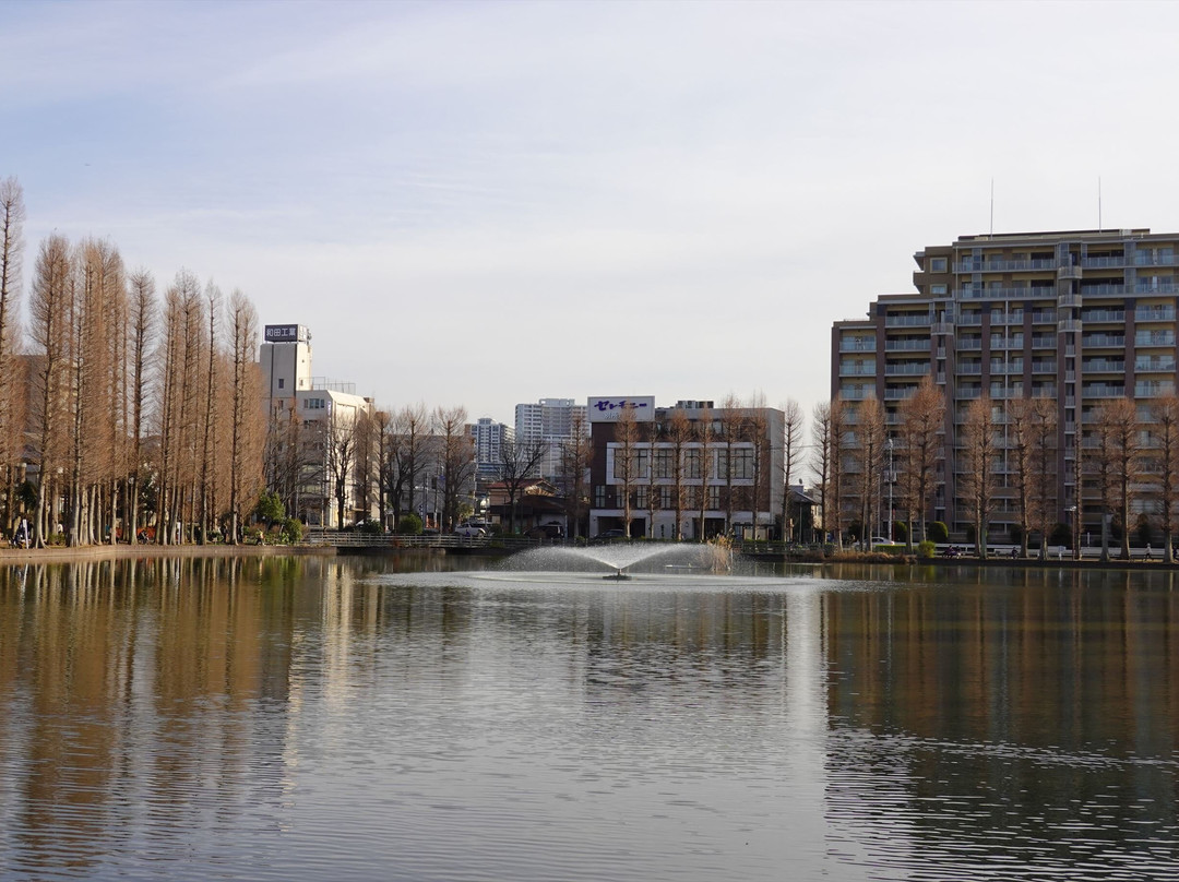 Besshonuma Park-埼玉市必去景点
