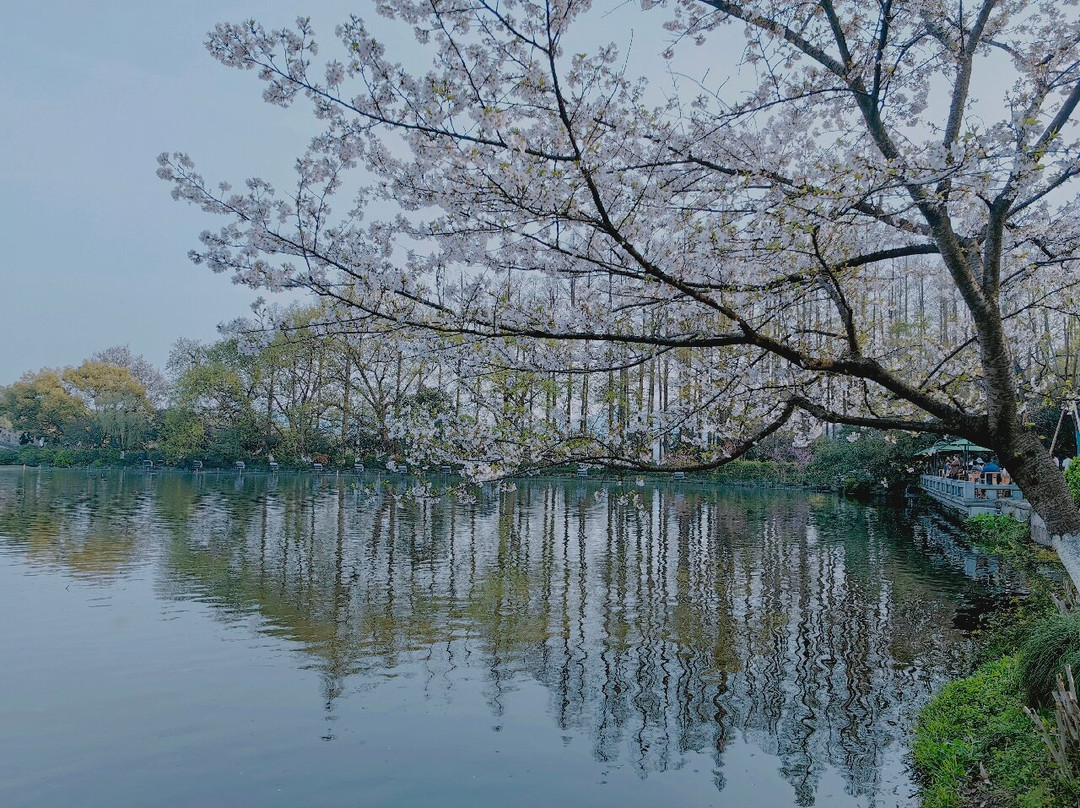 杨公堤-杭州市必去景点