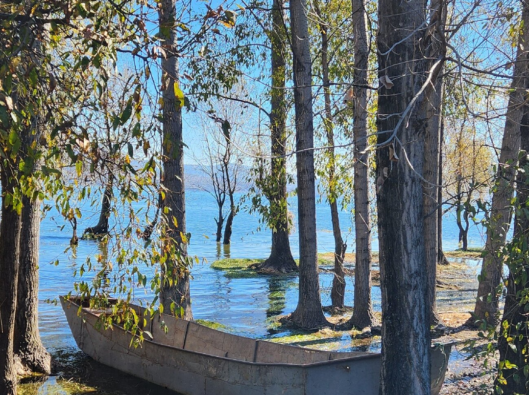 Discover Yunnan with Nongbu-丽江市必去景点