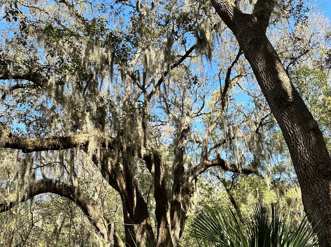 Jacksonville Arboreteum & Gardens-杰克逊维尔必去景点