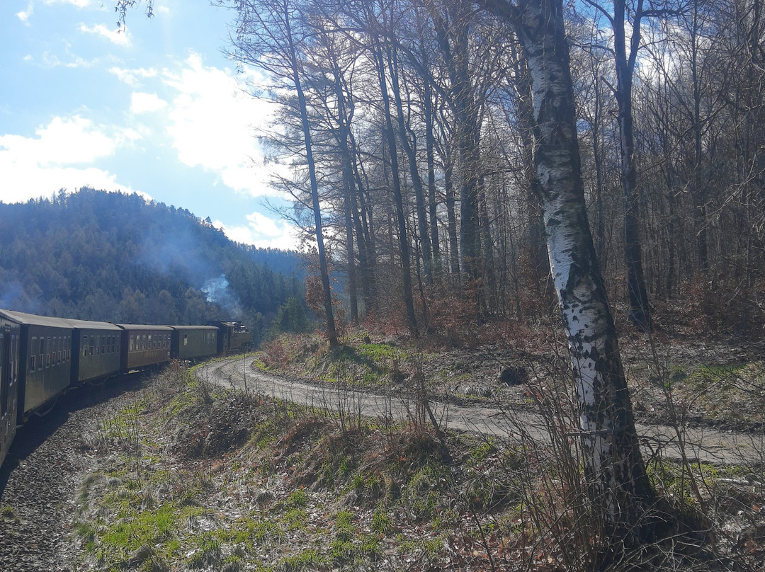 Zittauer Schmalspurbahn-Zittau必去景点