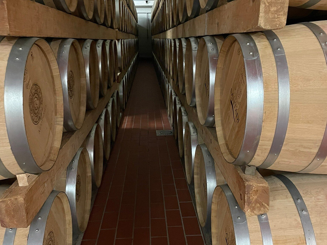 Cantina Santadi-Santadi必去景点