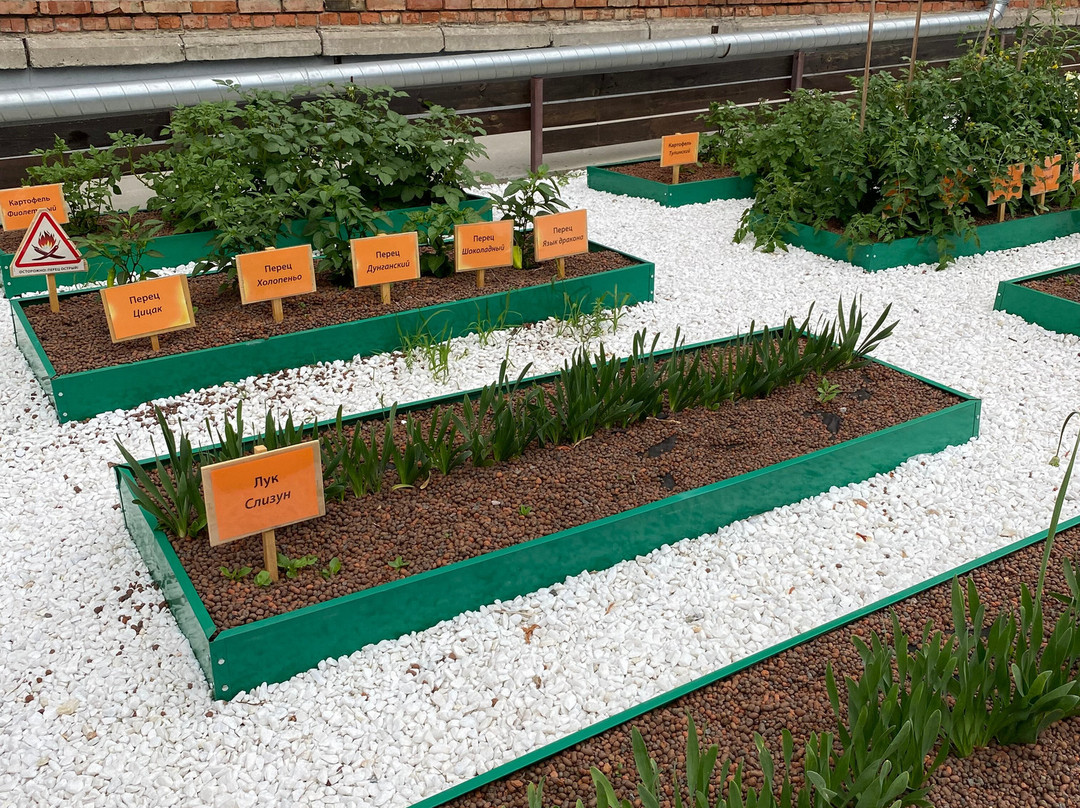 Vavilovsky vegetable garden-Akademgorodok必去景点