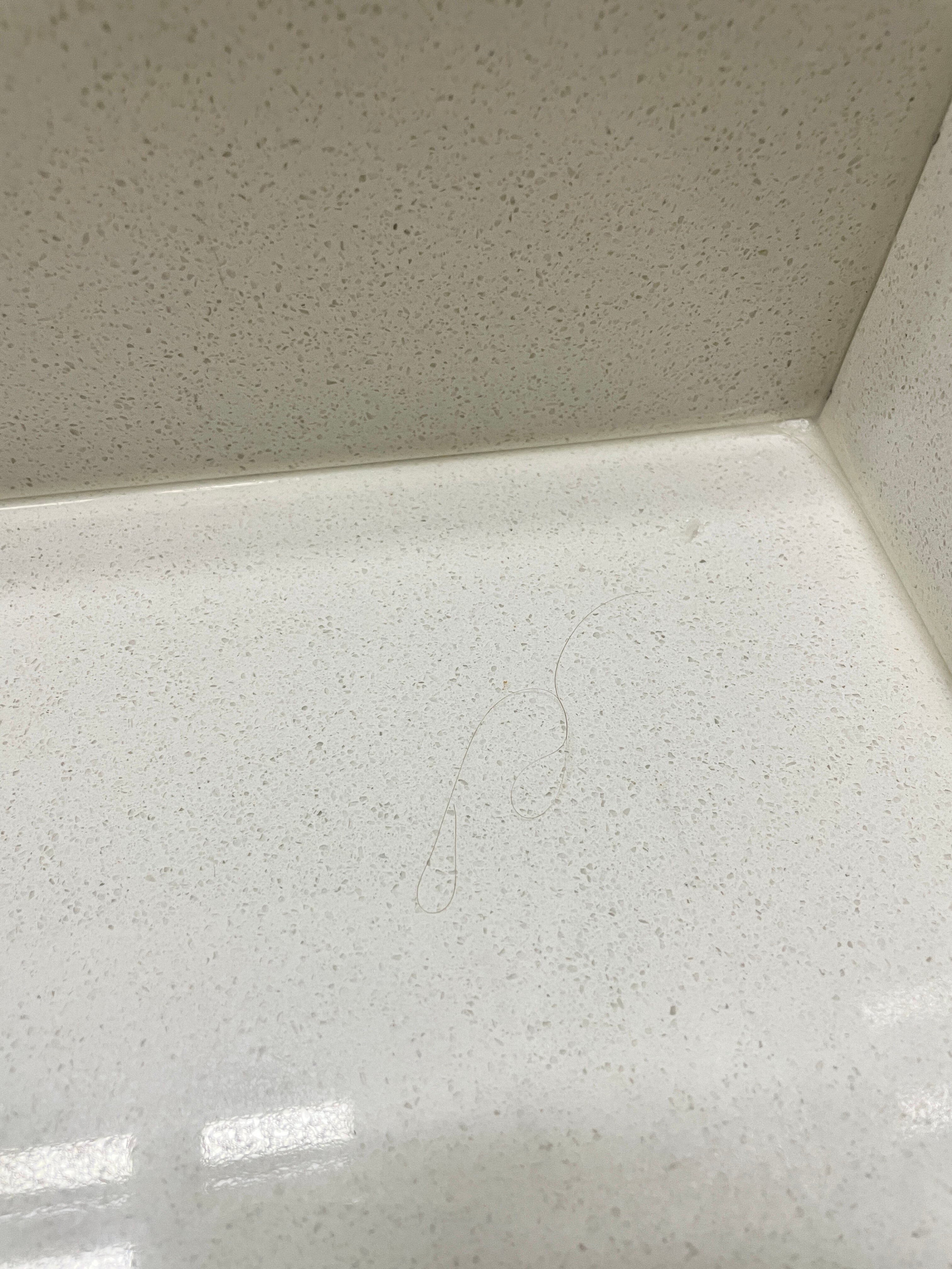 Red Roof Inn Binghamton North-浴室