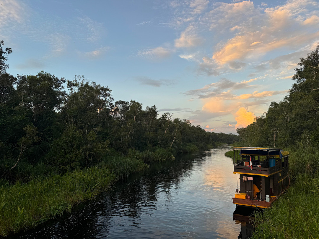 Orangutan tour - Varada Borneo-Pangkalan Bun必去景点