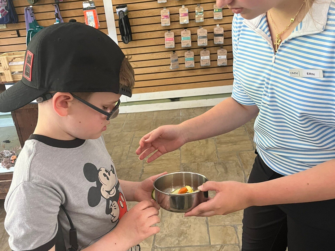 Amelia Island Nature Center-阿米莉亚岛必去景点