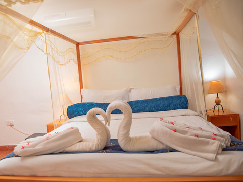 Afex Rivercamp主图