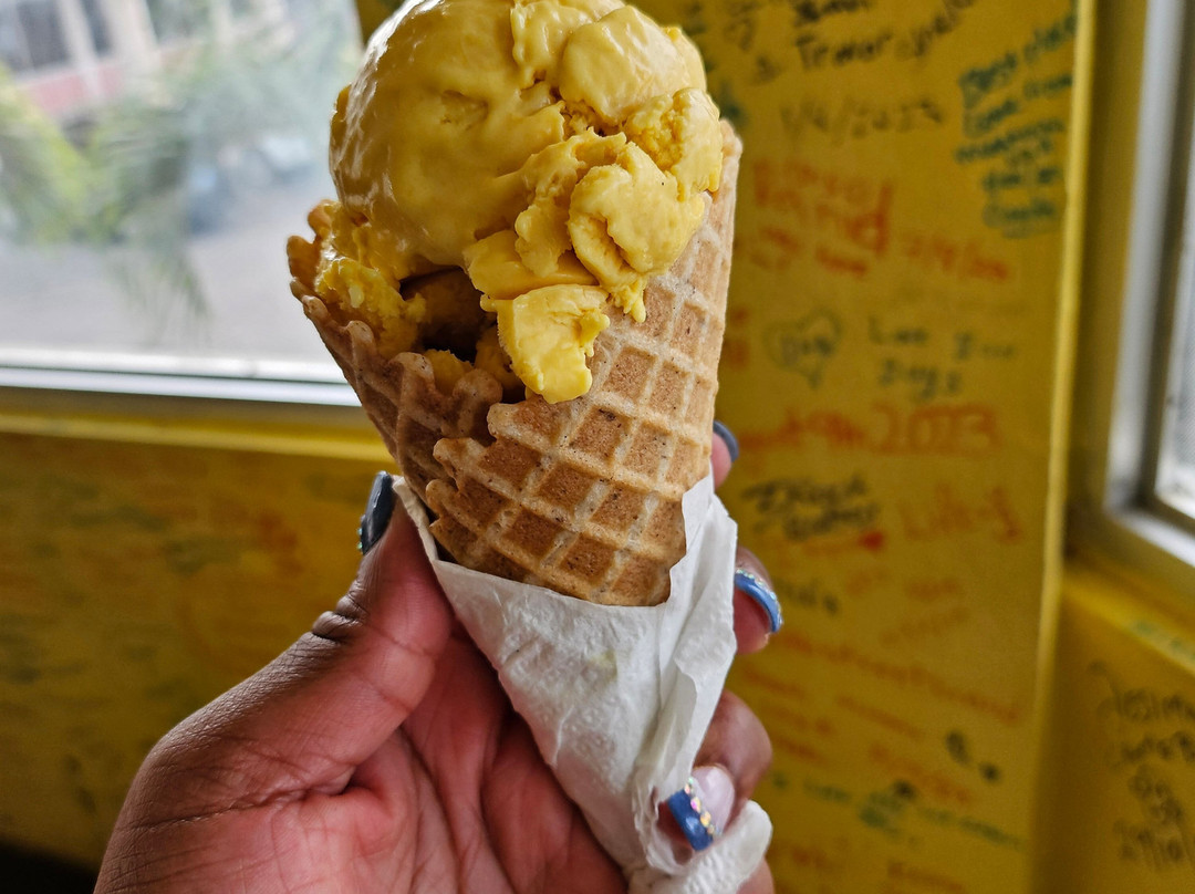 Sea Shell Palms主图