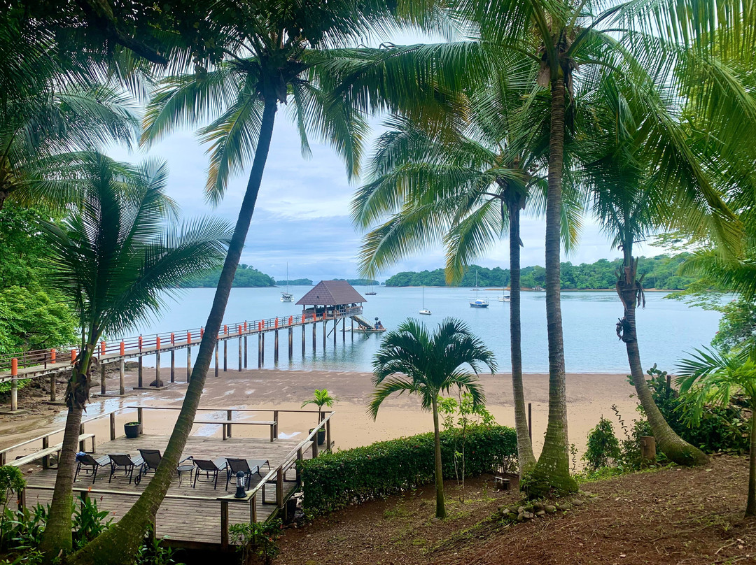 Seagull Cove Resort主图