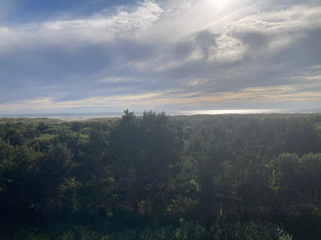大西洋海岸希洛套房酒店主图