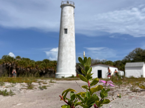 Island Boat Adventures-圣彼德斯堡必去景点