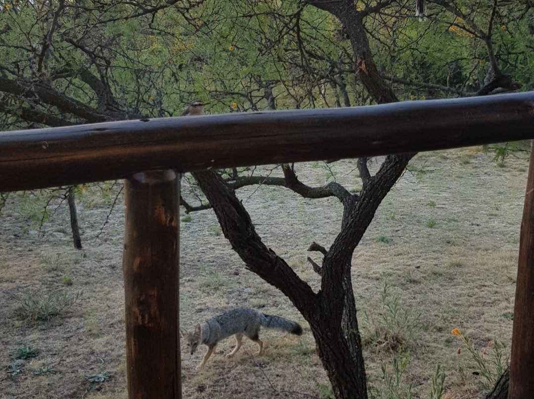 Posada Los Antiguos主图