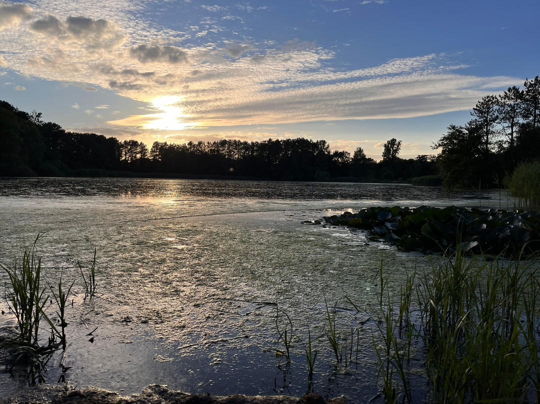 Recreatieoord Heidestrand景点图片