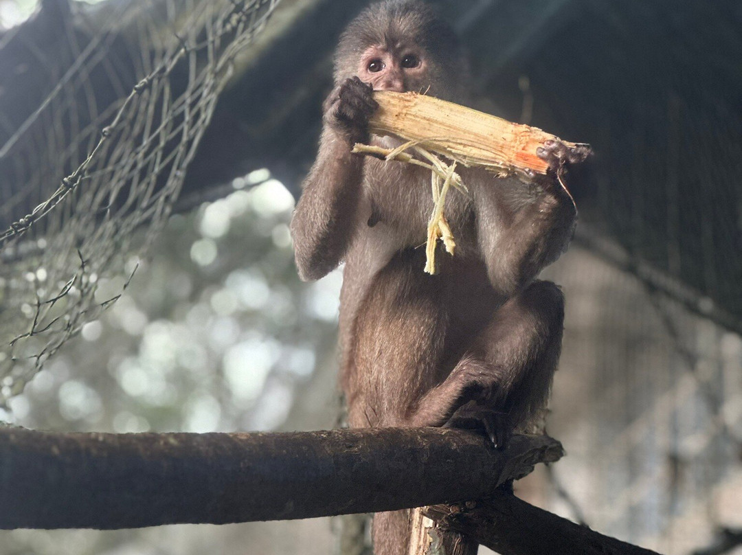 Fundacion Los Monos Selva y Vida-Puyo必去景点