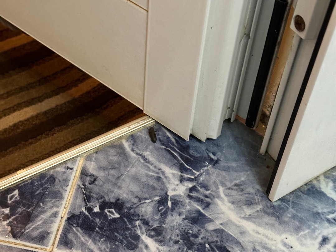 Art Hotel Galeria主图