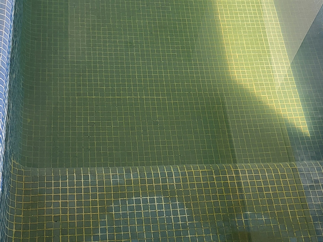 The Grand Mayan at Vidanta Nuevo Vallarta主图