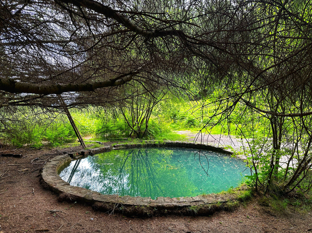 Torwood Blue Pool-福尔柯克必去景点