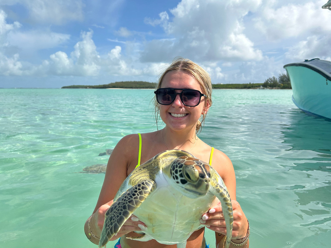 Bahamas Ocean Safaris景点图片