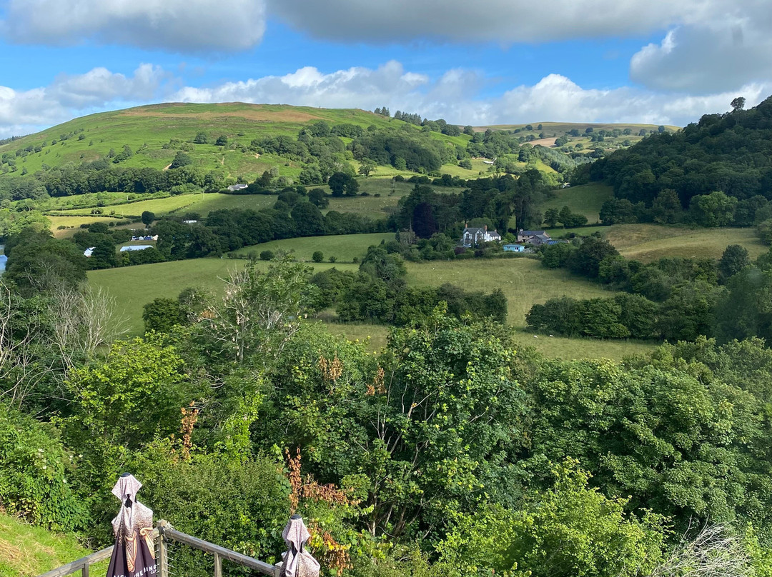 The Berwyn Arms主图