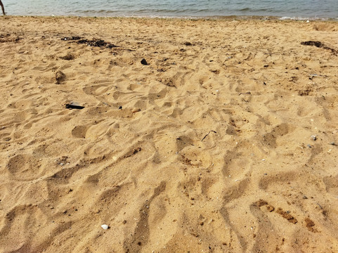 大黑石海滨浴场-大连市必去景点