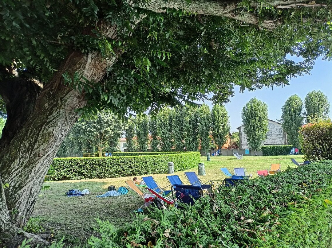 Jolly Club景点图片