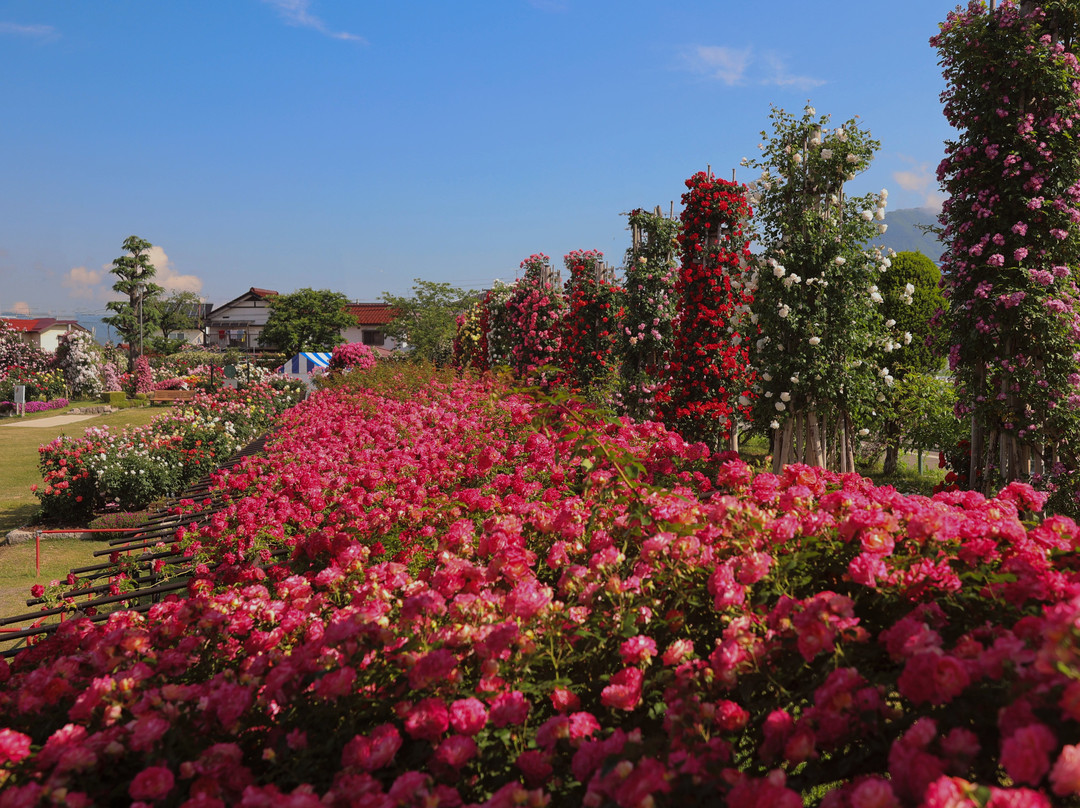 Ippongi Park-中野市必去景点
