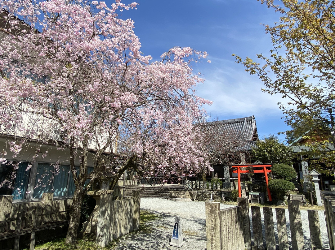 Sakuramotobo-吉野町必去景点