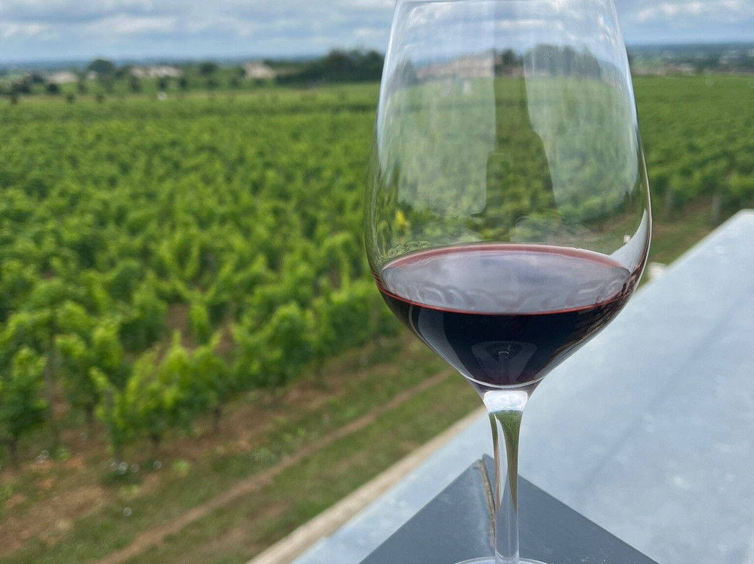 Château Balestard La Tonnelle-圣埃美隆必去景点