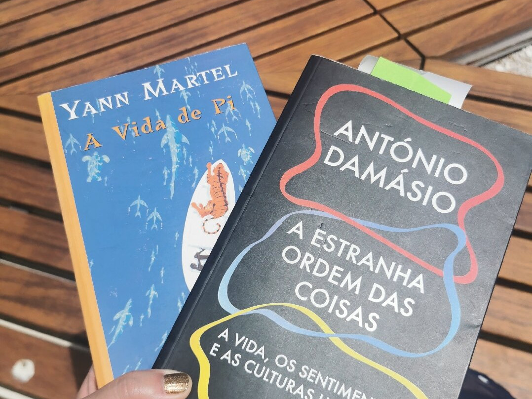 Deja Lu Bookshop-卡斯凯什必去景点