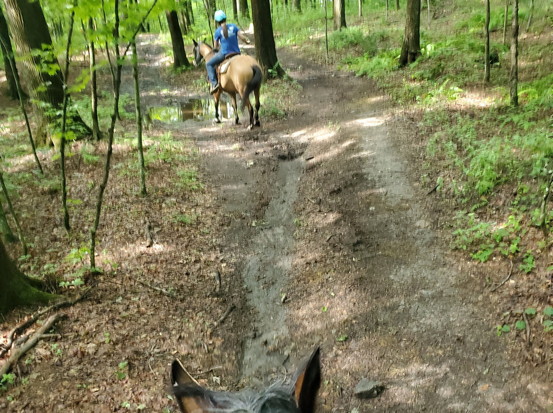 Chipman Stables-Danby必去景点
