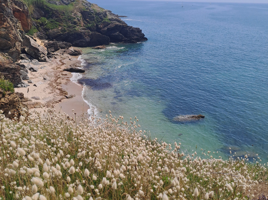 Pointe du Grand Mont-Saint-Gildas-de-Rhuys必去景点
