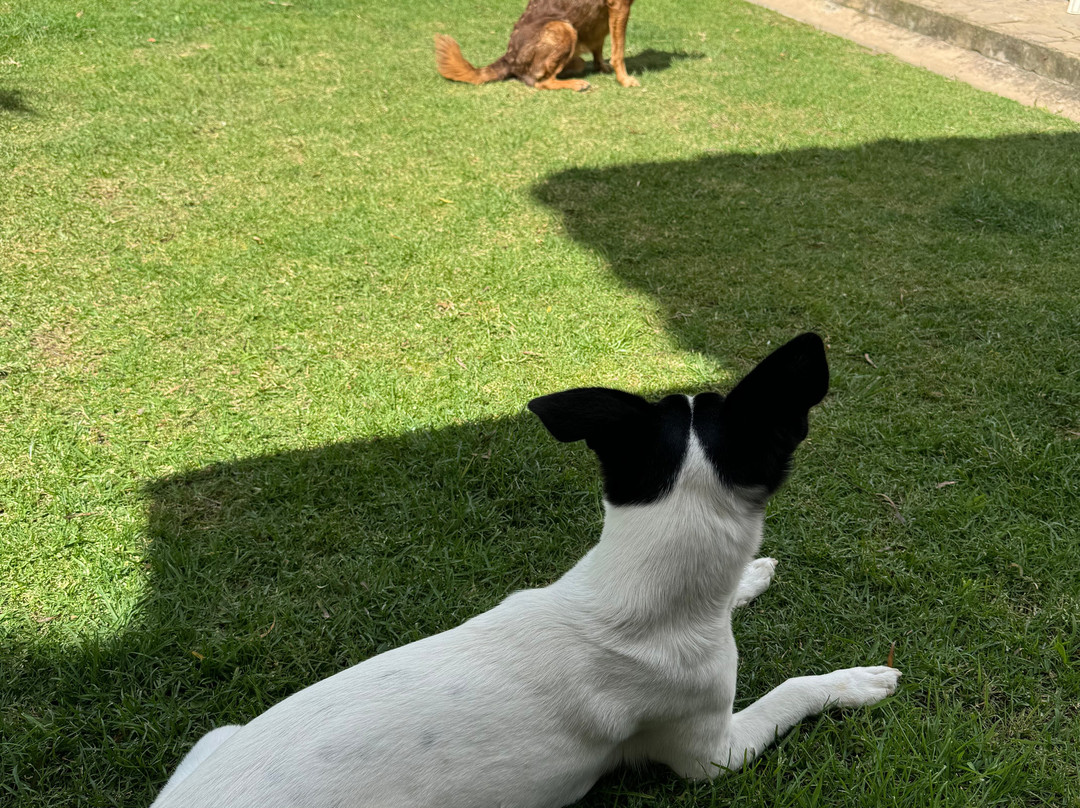 Casa Hotel San Pedro主图