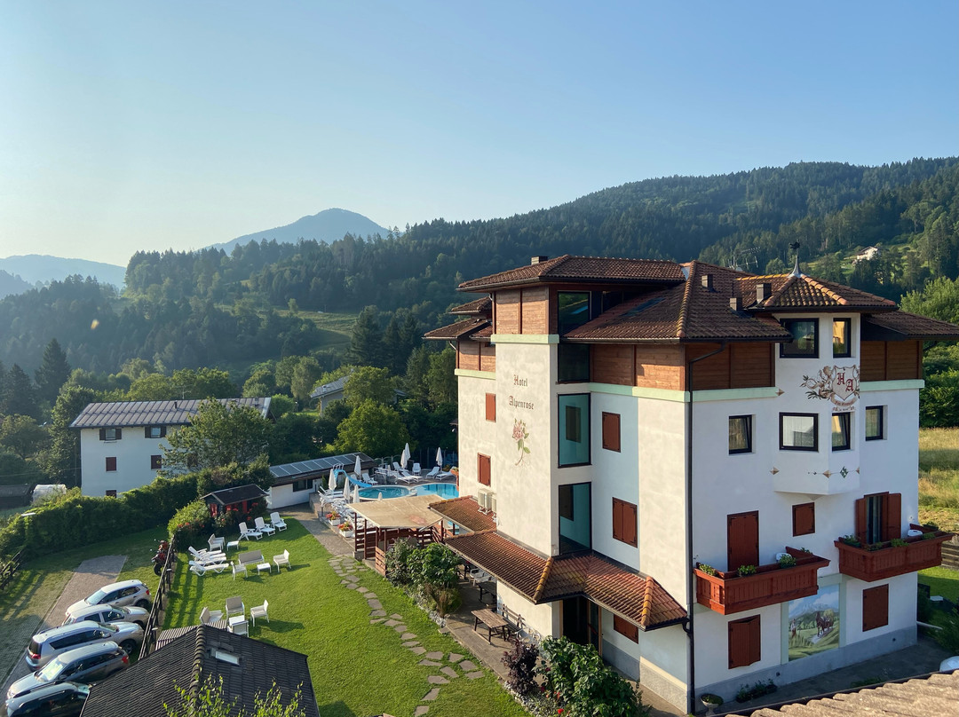 Hotel Alpenrose主图