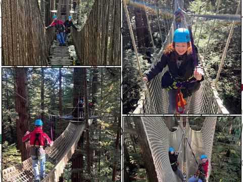 Redwoods Altitude-罗托鲁瓦必去景点