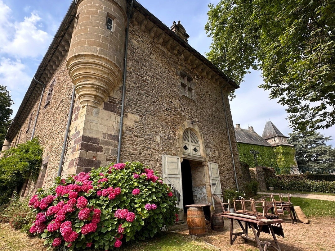 Château de Pompadour景点图片