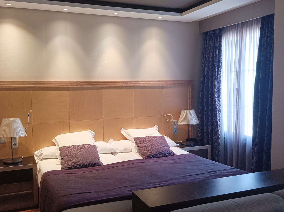 Nexus Valladolid Suites & Hotel主图