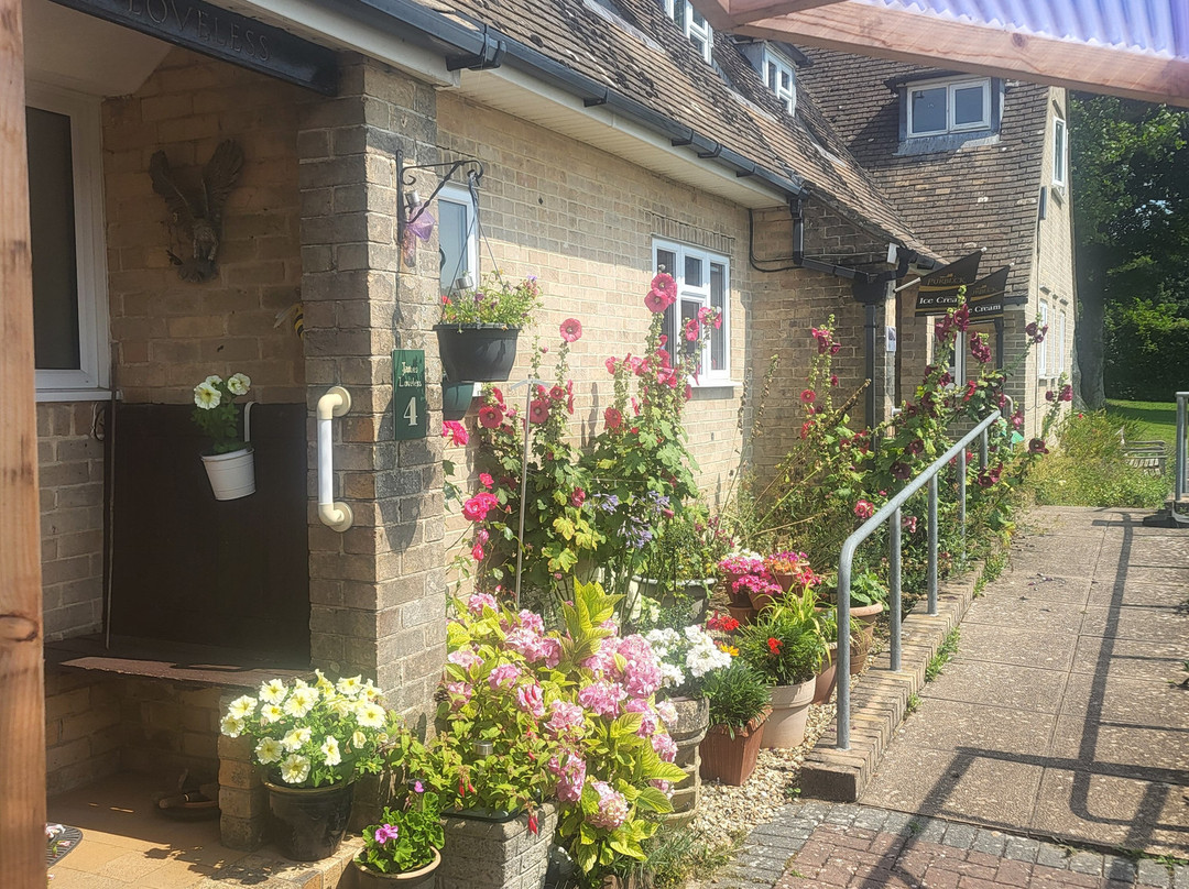 Tolpuddle Martyrs Museum景点图片