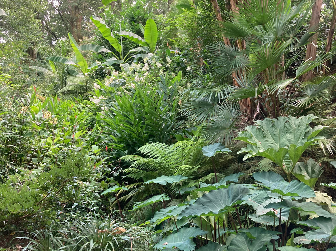 Jardin Des Barthes景点图片