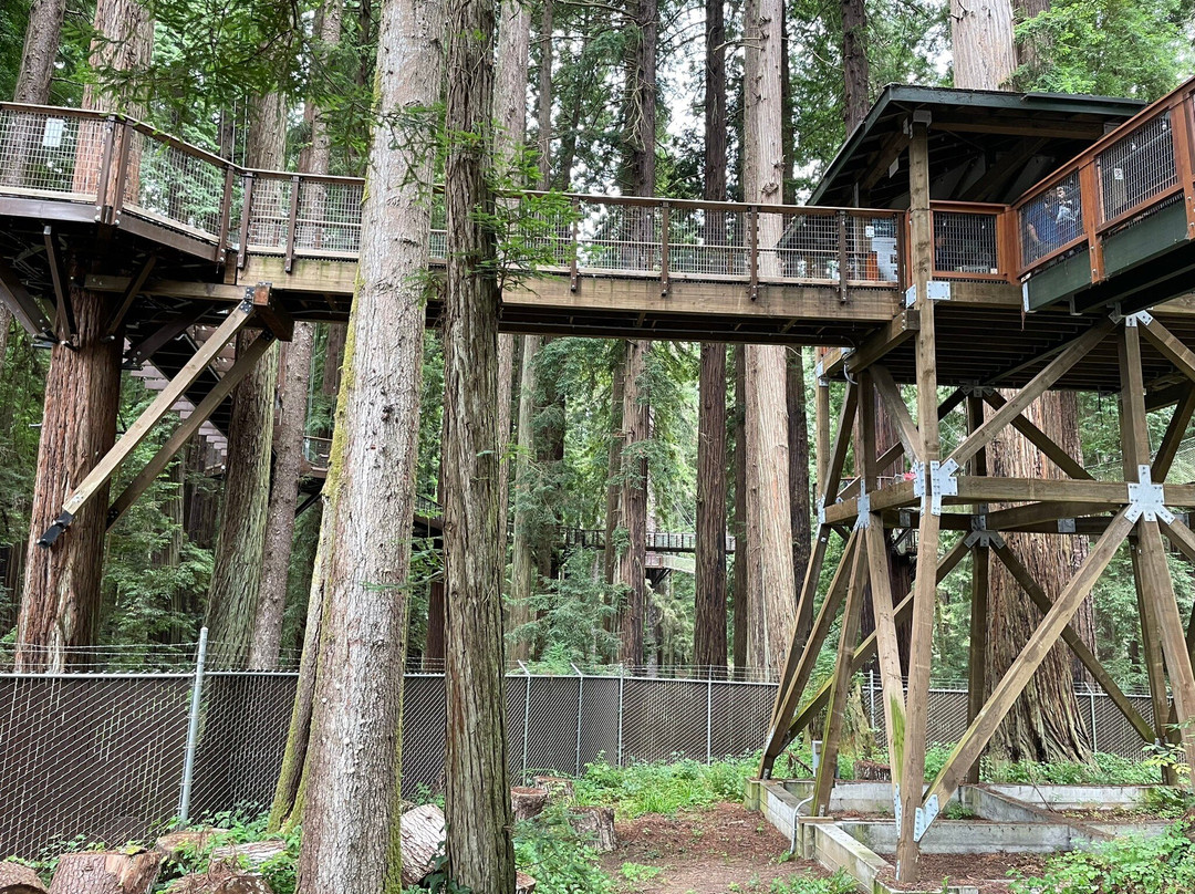 Sequoia Park景点图片