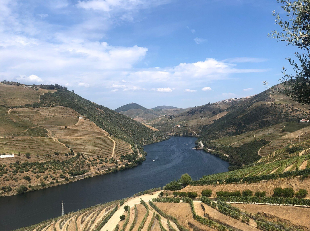 Quinta do Pôpa景点图片