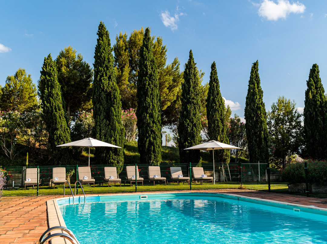 Bodega Pago de Cirsus主图