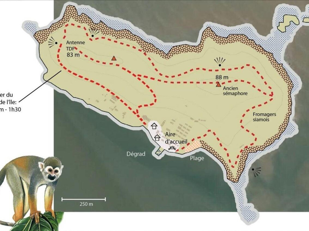 Sotalie Excursions-Remire-Montjoly必去景点