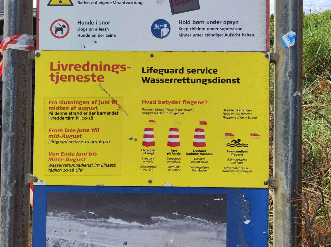 Søndervig Beach景点图片