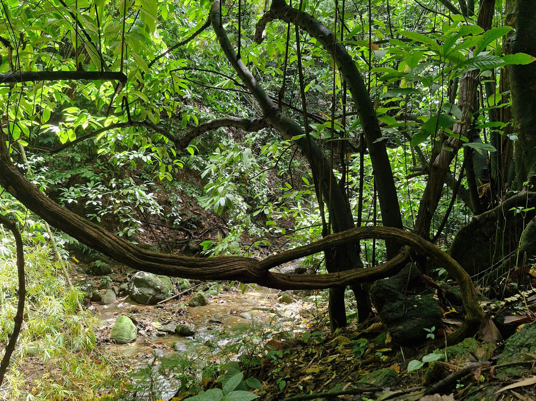 Cascade Couleuvre-Le Precheur必去景点