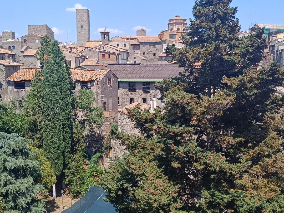 B&B Medieval House主图