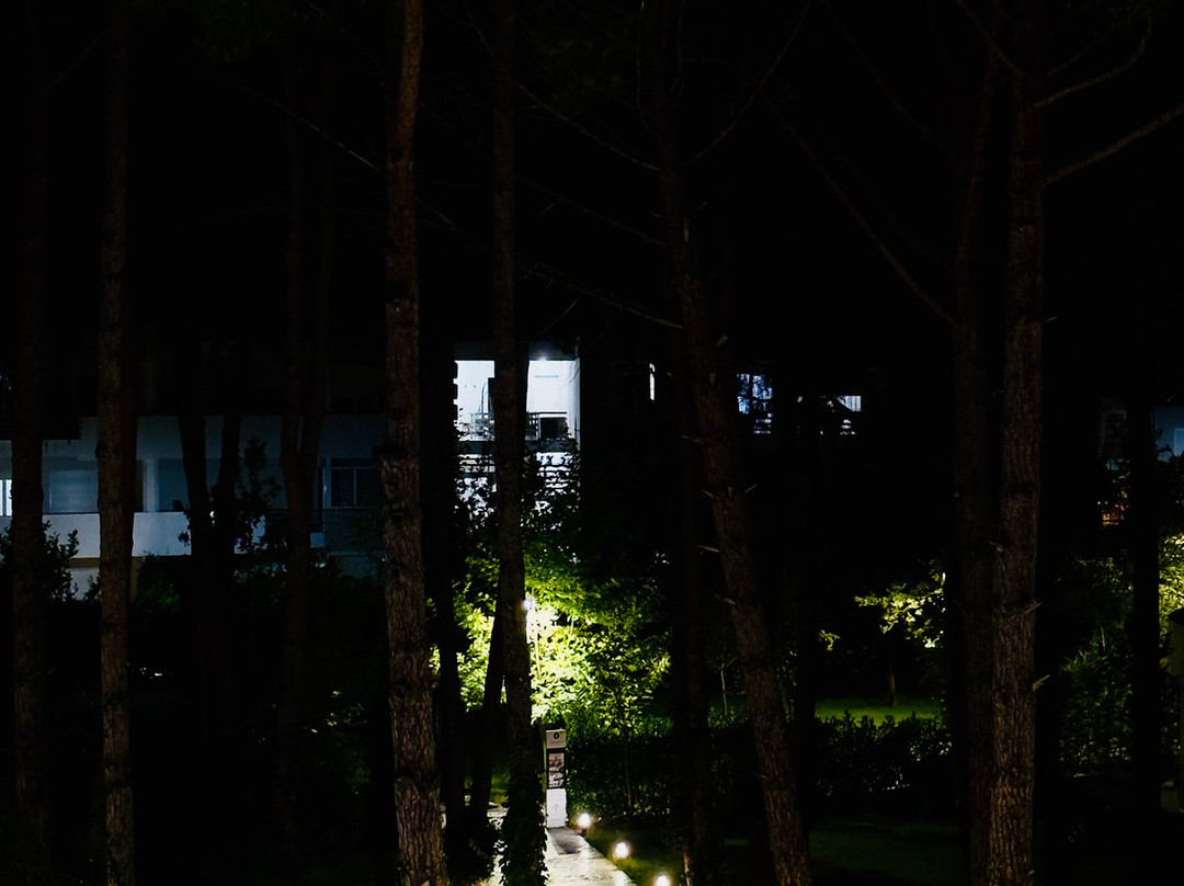 Movenpick Hotel Lalez Durres主图