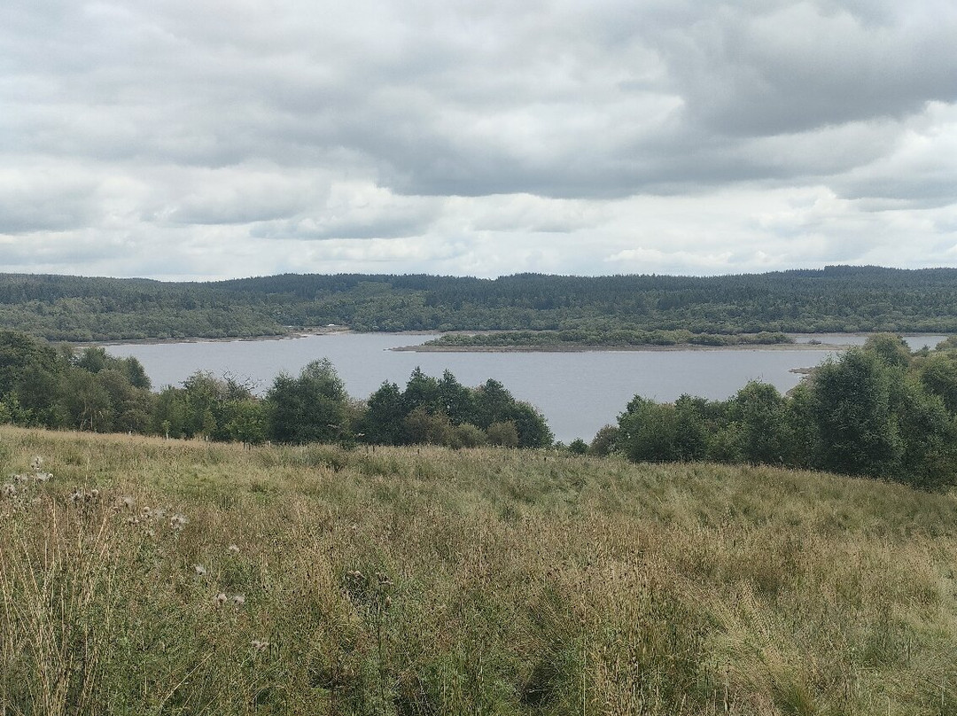 Gisburn Forest And Stocks景点图片