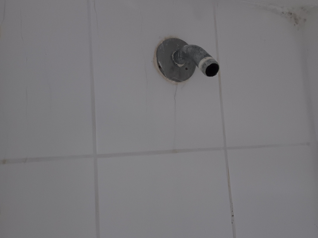 Solace by the Sea主图