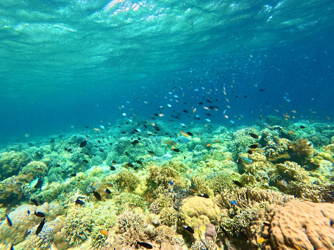 Baliberty私人潜水之旅-沙努尔必去景点